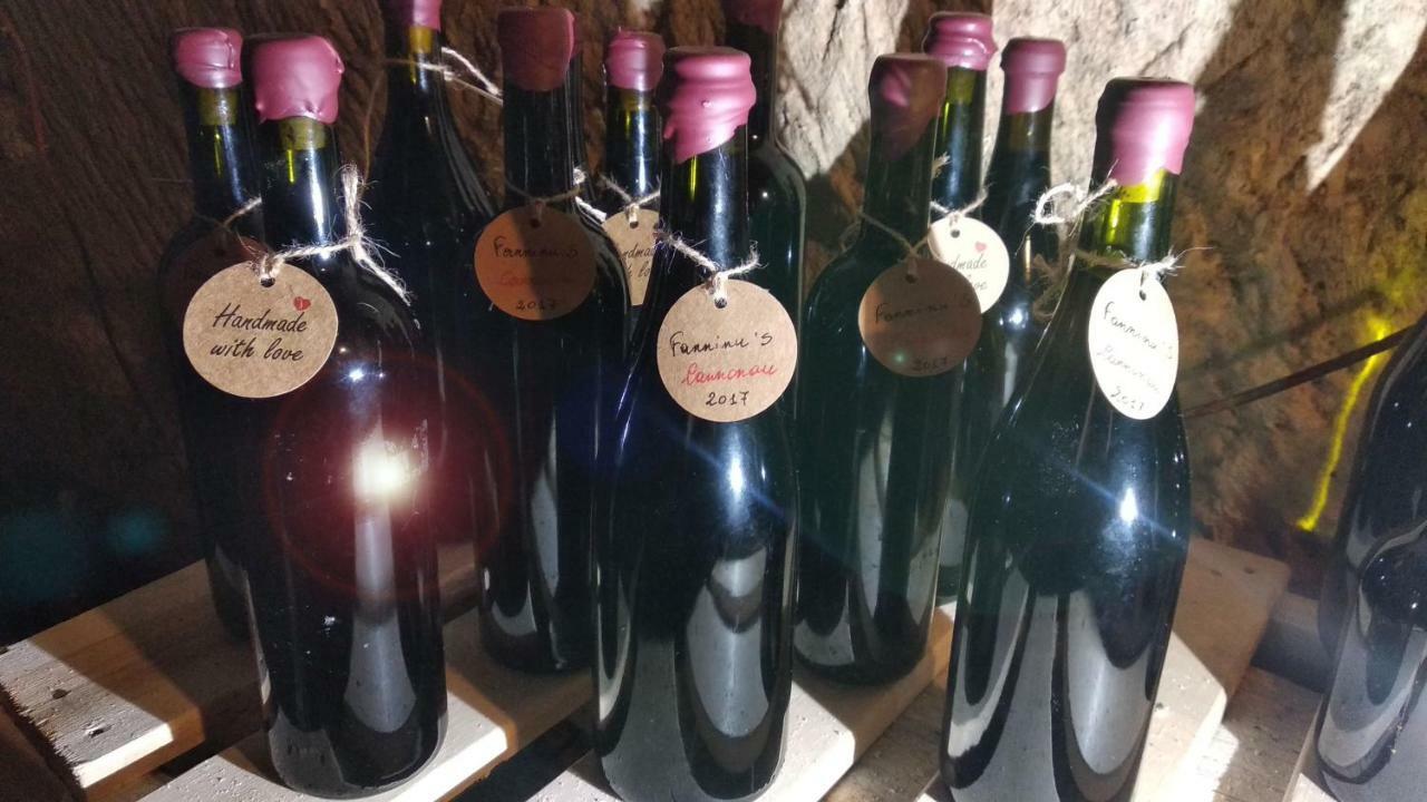 Casa Ele - The Alchemist'S House - Bikes Friendly - Sassari Bagian luar foto